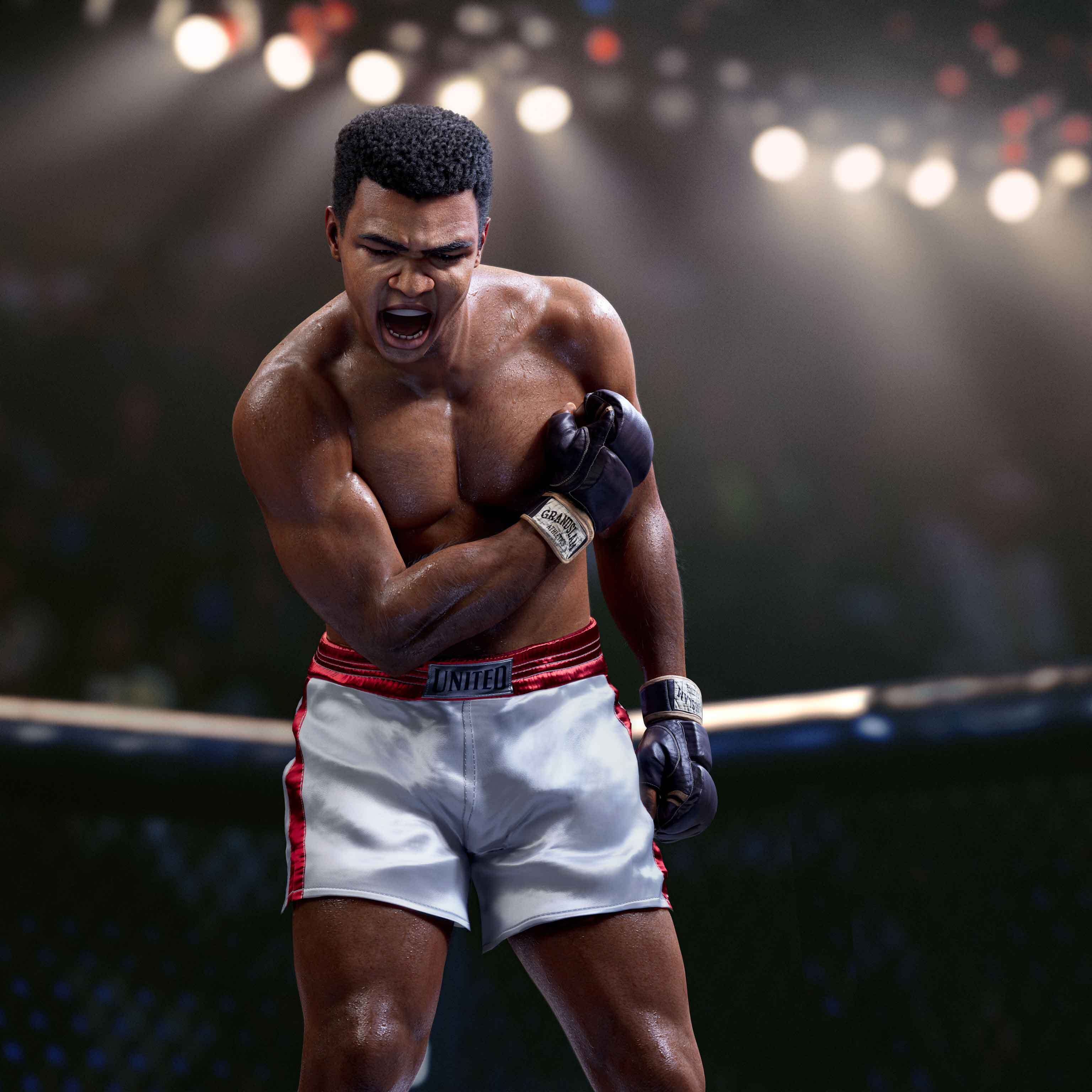 prj_UFC5_Temp_Ali_001