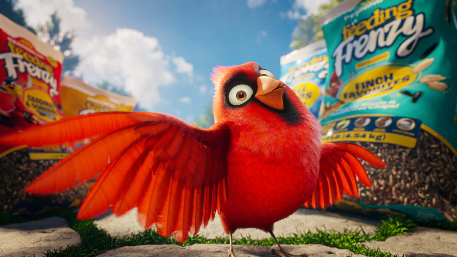 prj_penn_img_cardinal_001